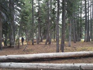 21348178313_1754c7b3c9_o