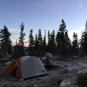 21781269390_b2034f7ff8_o