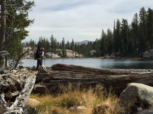 21943146616_2b24a2c527_o