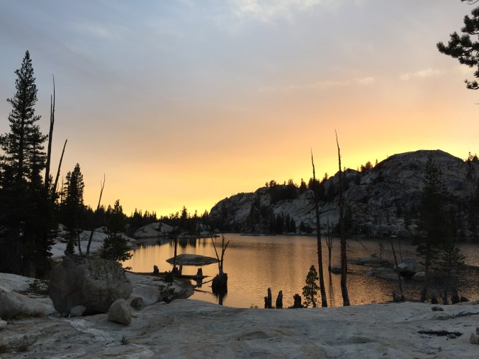 21943170196_7e2ef87363_o