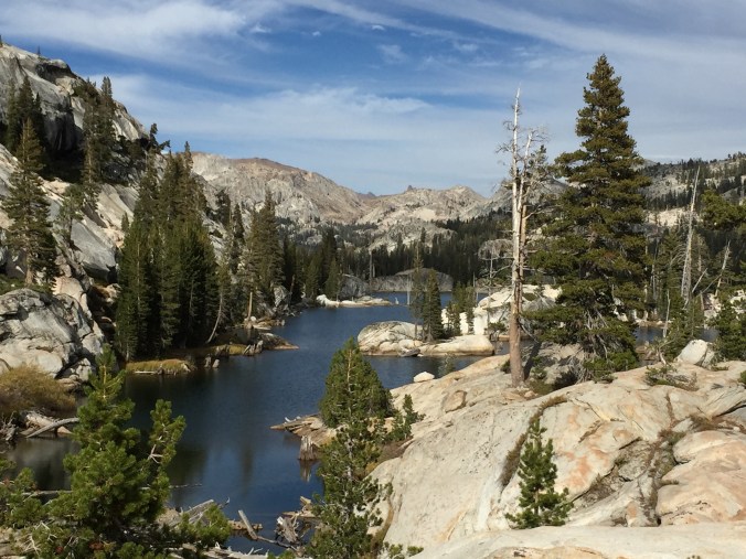 21957175032_be5ff23c05_o