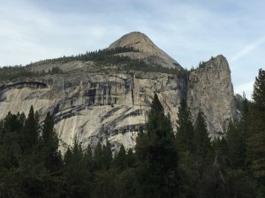 21957238362_fa9745b787_o