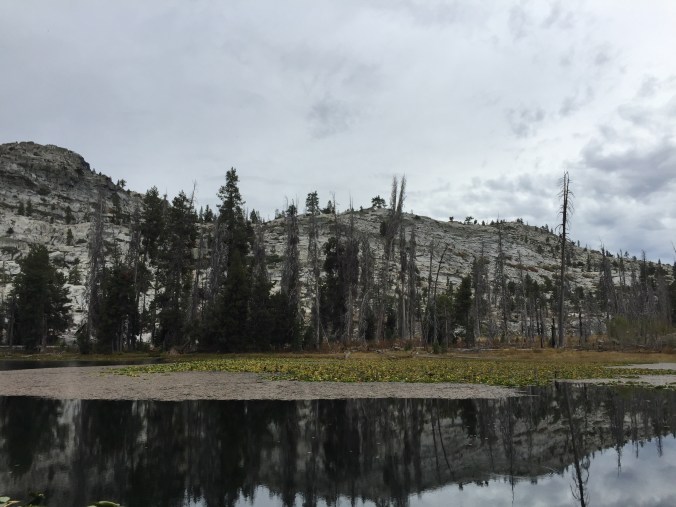 21969311205_7297da0ee1_o