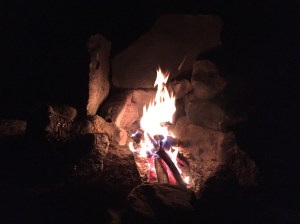 21979093531_f15392c009_o