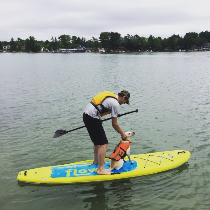 man petting a dog while they both stand on a paddleboard